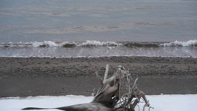 波打ち際の雪原と流木