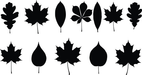 Fototapeta premium Collection of Ecology and Environment Icons Featuring Green Leaves Recycling Symbols Solar Energy Eco Lightbulbs and Sustainable Nature Elements for Conservation