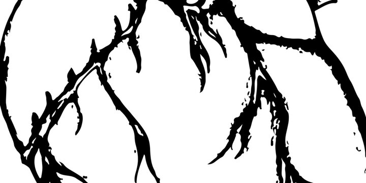 DA high-contrast, black and white silhouette of intricate, thorny branches. The organic, tangled lines create a sharp, dramatic pattern against a solid white background, evoking a sense of nature's ra