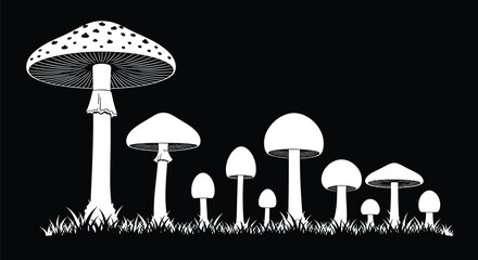 White vector silhouette collection of various forest mushrooms on black background for nature science botanical design and wild fungus research. © Mehedi