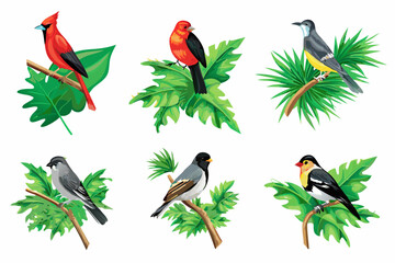 Obraz premium A colorful collection of north american songbirds perched on branches