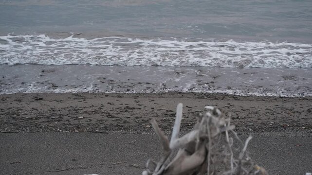 波打ち際の雪原と流木
