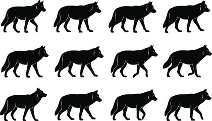 Fototapeta premium Wolf walking silhouette sequence, animal gait illustration, wildlife motion study