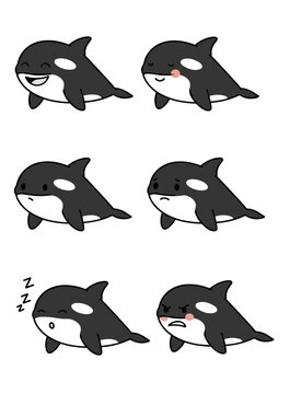 Set of six cute killer whale or orca faces showing different emotions like happy sleepy angry sad and surprised expression icons