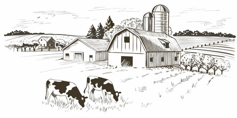 A vintage illustration of a rural farm scene with barns and cows © Anik