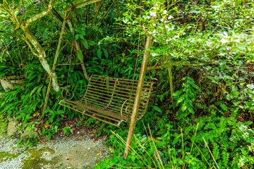 Rusty metal garden swing hanging in lush tropical foliage, vintage outdoor furniture in overgrown backyard, nature reclaiming man-made structure.