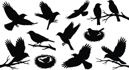 Obraz premium Crow and raven bird silhouettes collection with flying, perching and nest poses, black vector illustration isolated on white background for wildlife design
