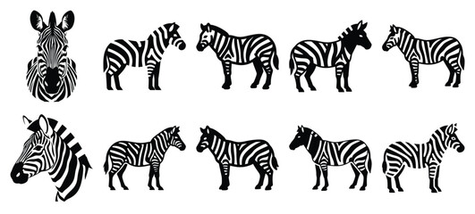silhouette nature zebra stripe drawing icons and set of graphics nature elements © Bipul