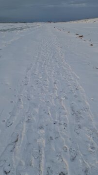 Lettland, Ostseek&uuml;ste bei Ventspils im Winter, im Schnee. Verschneites Ufer, Fu&szlig;spuren im Schnee, ein von Menschen ausgetretener Pfad entlang der Meeresk&uuml;ste.