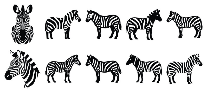 silhouette nature zebra stripe drawing icons and set of graphics nature elements