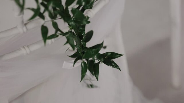 Green ruscus leaves draped over a white wooden chair with turned spindle details. Close up static shot.