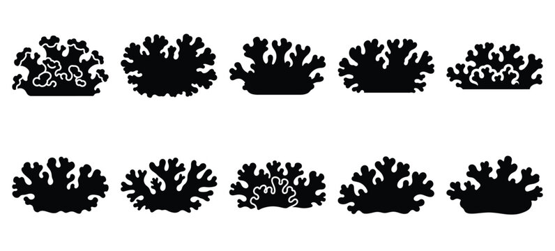 silhouette nature lichen patch drawing icons and set of graphics nature elements