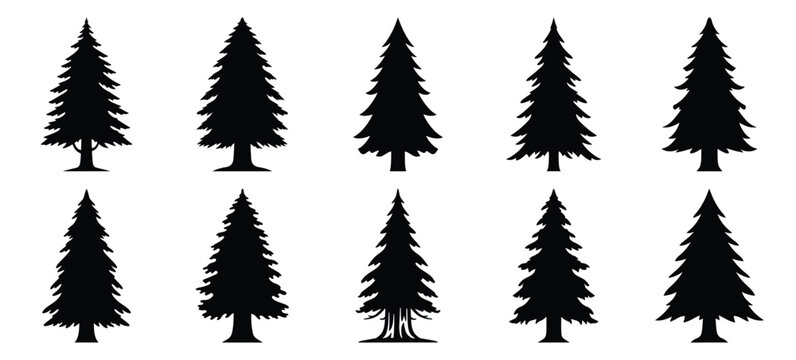silhouette nature redwood tree drawing icons and set of graphics nature elements