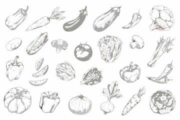 A collection of hand drawn vegetables and fruits in grayscale tones