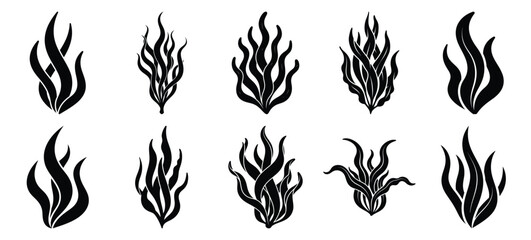 silhouette nature seaweed flow drawing icons and set of graphics nature elements © Bipul