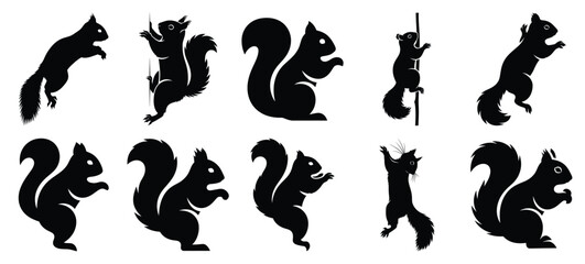 silhouette nature squirrel climb drawing icons and set of graphics nature elements © Bipul