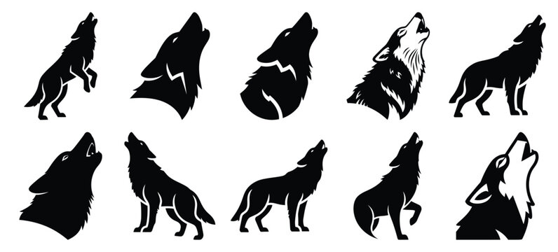silhouette nature wolf howl drawing icons and set of graphics nature elements