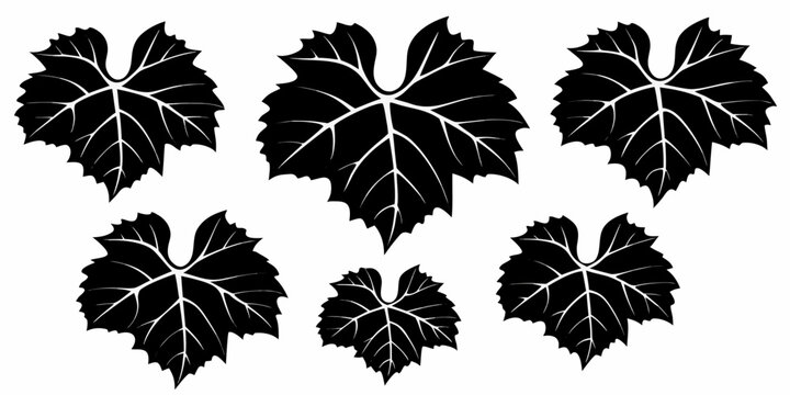 A collection of black grape leaves against a plain white background