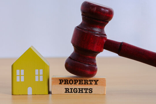 Property Rights Concept with gavel and house model