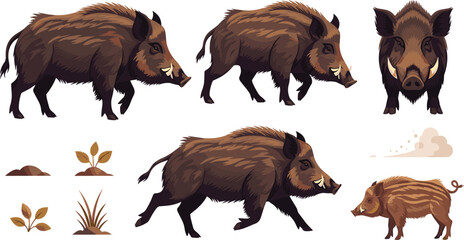 Wild boar vector set with different poses piglet and forest habitat elements for hunting wildlife animal illustration and nature design. © MstSuborna