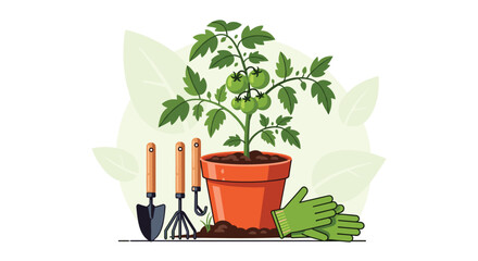 Obraz premium A young tomato plant in a pot with small green fruits stands next to various gardening tools and gloves.