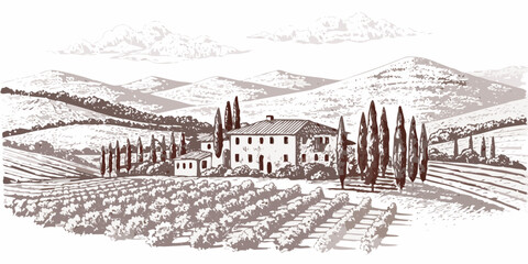 Naklejka premium A rustic tuscan villa nestled amongst vineyards and rolling hills