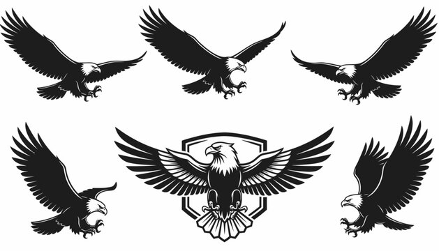 Monochrome Stylized Bald Eagle Graphics Set for Sports, Nature, and Freedom Emblems