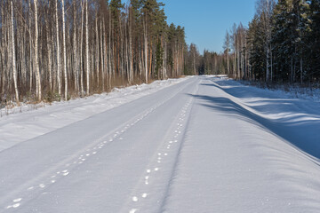 Obraz premium Snow covered rural road through winter forest with animal tracks