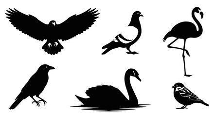 Obraz premium Black and White Bird Silhouettes Vector Set for Nature Wildlife Design