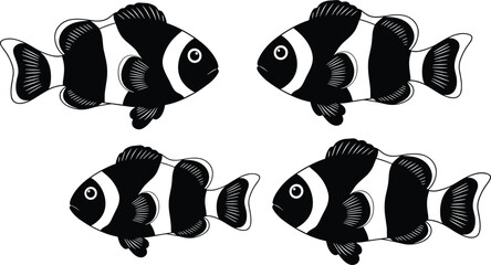Clownfish vector set, anemone fish silhouette, tropical coral reef wildlife, marine nature icons, aquatic sea life, orange white fish, underwater. © Rahena ARAFAT