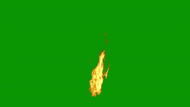Fire flame in the wind, seamless loop, opaque, 4k 30p, with green screen for transparent background aka no background