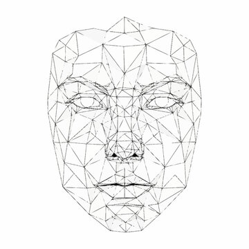 Wireframe 3D Human Face Model Geometric Structure.