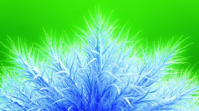 Frosty Blue Plant Texture Against Vibrant Green Background, Colorful Abstract Nature Design for Modern Decor and Visual Interest