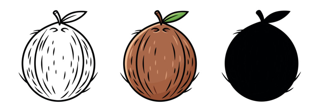 Set of whole coconut illustrations in outline, color, and silhouette styles. Textured tropical nut vector isolated on white.