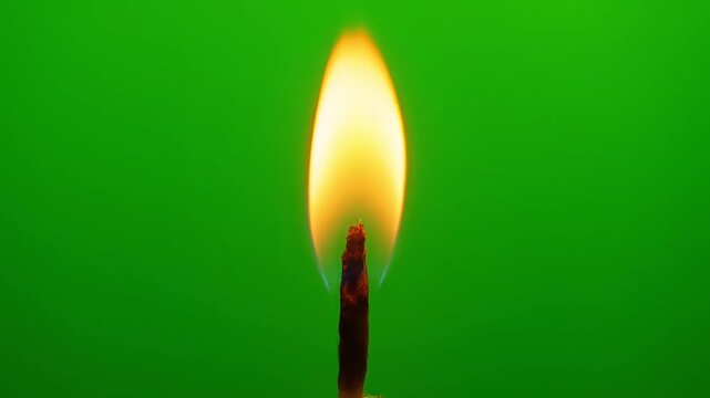 Single Flame Burning Brightly on a Matchstick Against a Vivid Green Background in a Minimalist Style