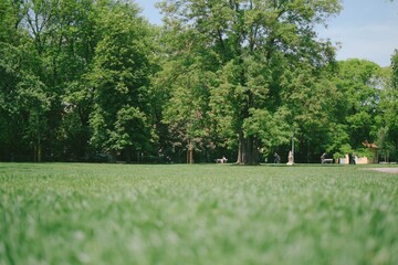 Obraz premium 프라하 유럽 여행