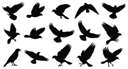 Obraz premium Diverse collection of birds in various flight poses black silhouette