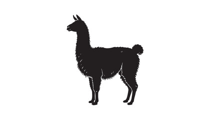 Obraz premium Llama silhouette standing in profile, black animal shape isolated on white background, minimalist vector style illustration featuring alpaca, mammal, camelid with livestock and wildlife elements for