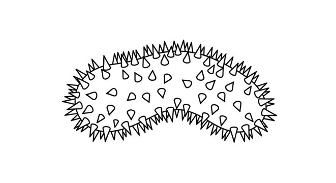 Spiky sea cucumber outline drawing on a plain white background, perfect for educational coloring book or aquatic life illustration projects.