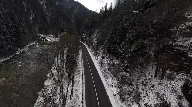 Flight over deep and vast pine tree forest using an fpv drone. a river valley in winter. Cheile Zugrenilor Romania