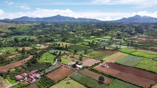 Aerial view of lush green agricultural fields and distant mountains under a bright blue sky, showcasing a vibrant rural landscape