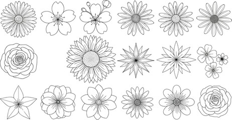 Set of hand drawn flower silhouettes and floral line art icons including roses daisies and sunflowers isolated on white background vector