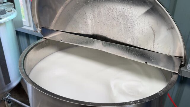 Close-up of a stainless steel mixing vat filled with white liquid or cosmetic lotion base. Ideal for skincare manufacturing, pharmaceutical, or dairy industry production concepts.