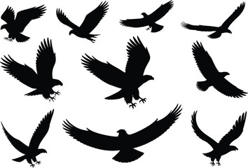 Obraz premium Black silhouettes of eagles flying and soaring set, predatory bird icons, hawk or falcon wings spread isolated on white background.