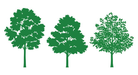 Fototapeta premium Three lush green trees depicted in a striking silhouette