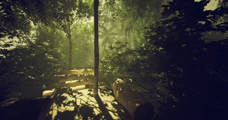 sunlit hiker trail through dense foliage offering rugged route, textured shadows and inviting corridor for exploration, outdoor fitness and adventure © icetray