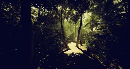 Sunlit hiking route through dense jungle undergrowth, rugged terrain and winding wooden planks leading into shaded canopy dynamic outdoor scene tailored © icetray