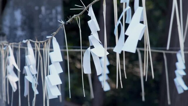 風に揺れるしめ縄と紙垂