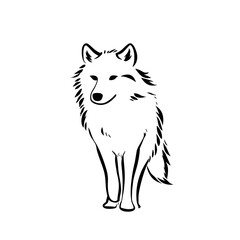 Obraz premium Wolf. Wolf simple black and white line art vector logo