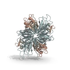 Anomaly image shows a colorful 3D protein structure model on a white background